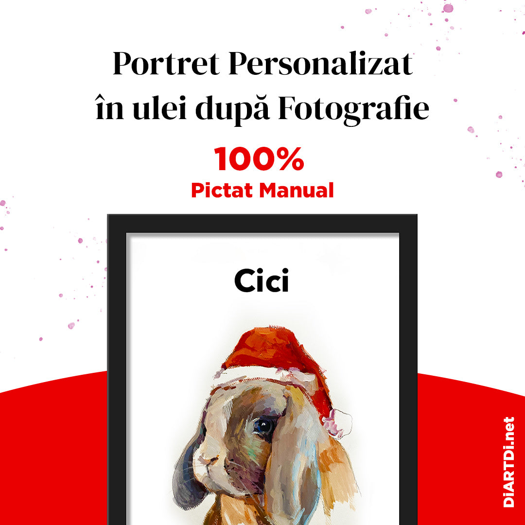 PET DiARTDi